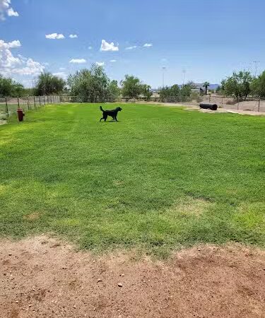 Quartzsite Dog Park - Quartzsite, AZ