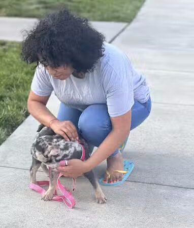 Queenz Prosperous Kennel - ,