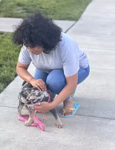 Queenz Prosperous Kennel - ,