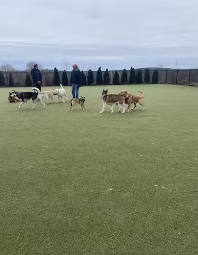 Quincy Dog Park - Quincy, MA