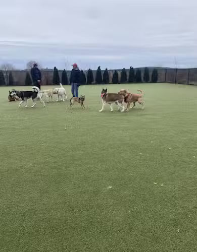 Quincy Dog Park - Quincy,