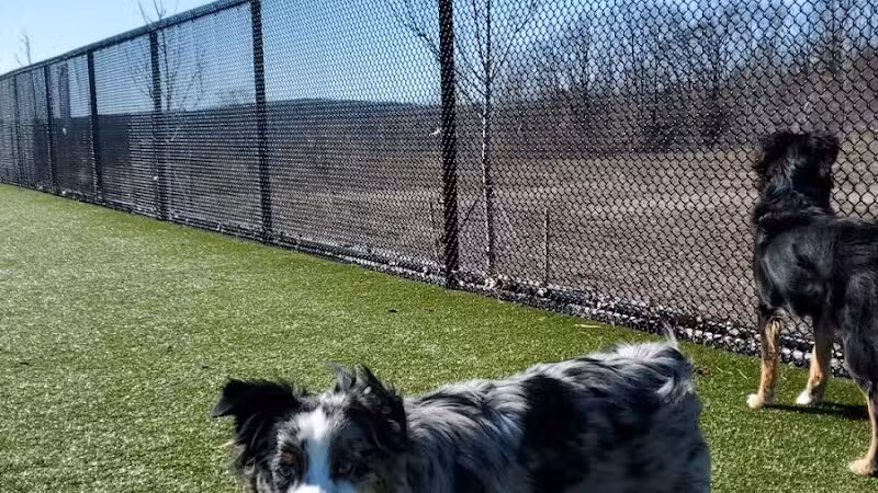 Quincy Dog Park - Quincy,