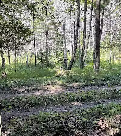 Fumee Lake Trail Head - Quinnesec,