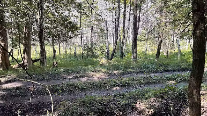 Fumee Lake Trail Head - Quinnesec,