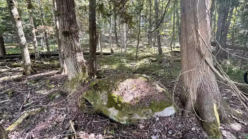 Fumee Lake Trail Head - Quinnesec,