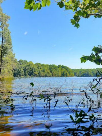 Blue Jay Point County Park - Raleigh, NC