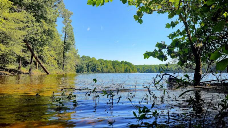 Blue Jay Point County Park - Raleigh, NC