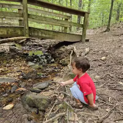 Brookhaven Nature Park - Raleigh, NC