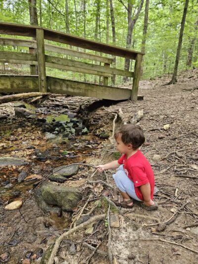 Brookhaven Nature Park - Raleigh, NC