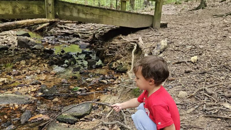 Brookhaven Nature Park - Raleigh, NC