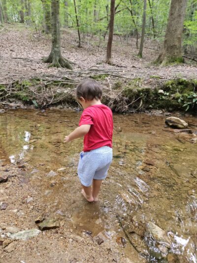Brookhaven Nature Park - Raleigh, NC