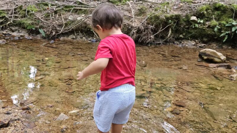 Brookhaven Nature Park - Raleigh, NC