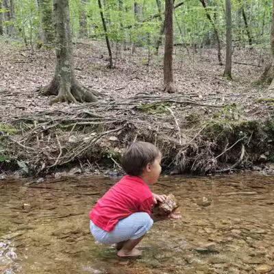 Brookhaven Nature Park - Raleigh, NC