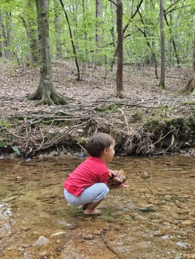 Brookhaven Nature Park - Raleigh, NC