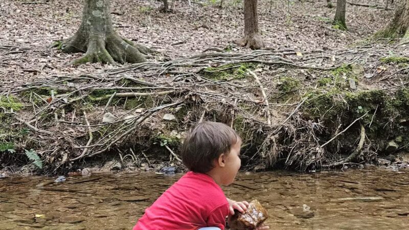 Brookhaven Nature Park - Raleigh, NC