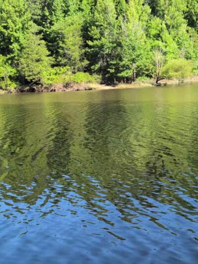 Falls Lake Trail - Raleigh, NC