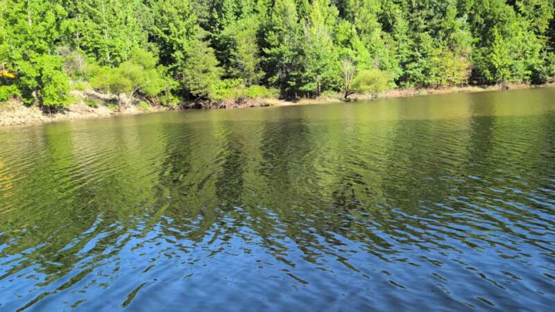 Falls Lake Trail - Raleigh, NC