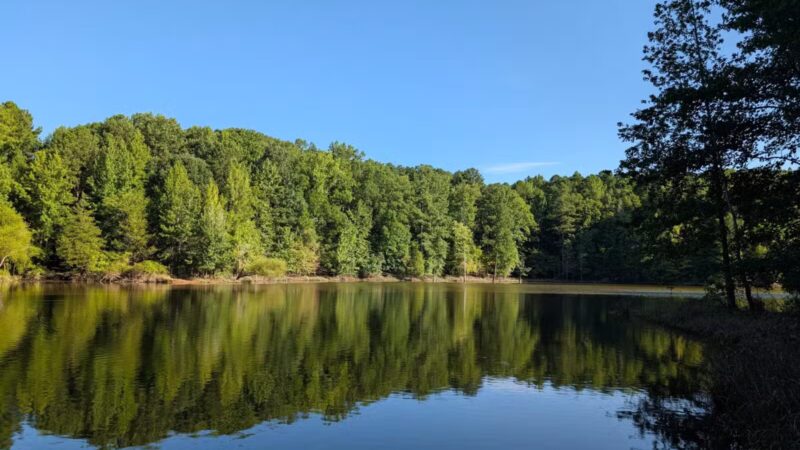 Falls Lake Trail - Raleigh, NC