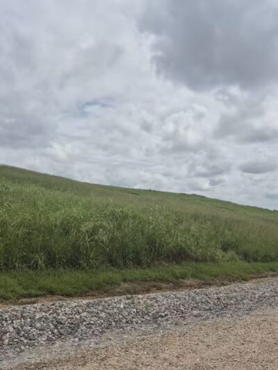 Green Hills County Park - Raleigh, NC