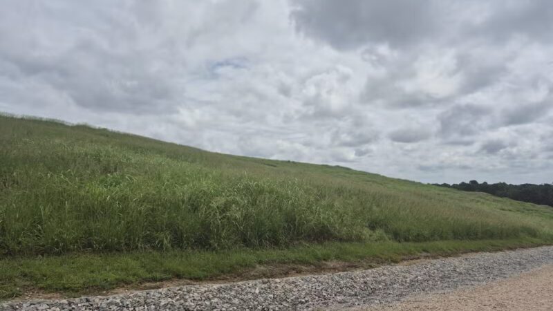 Green Hills County Park - Raleigh, NC