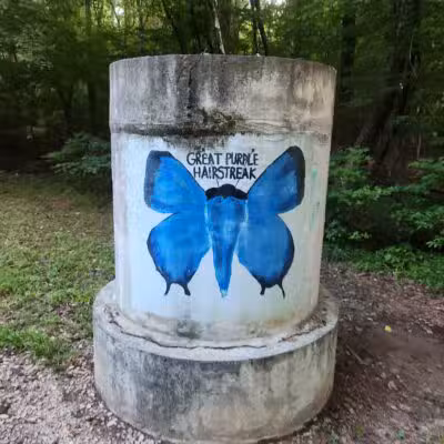 Greenway Trail North Hills - Raleigh, NC