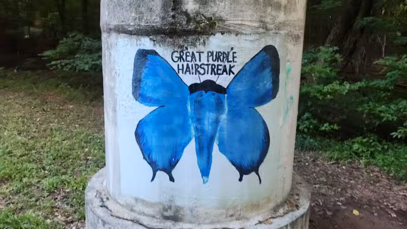 Greenway Trail North Hills - Raleigh, NC