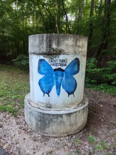 Greenway Trail North Hills - Raleigh, NC