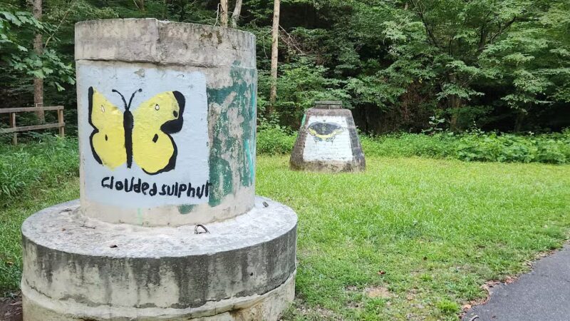 Greenway Trail North Hills - Raleigh, NC