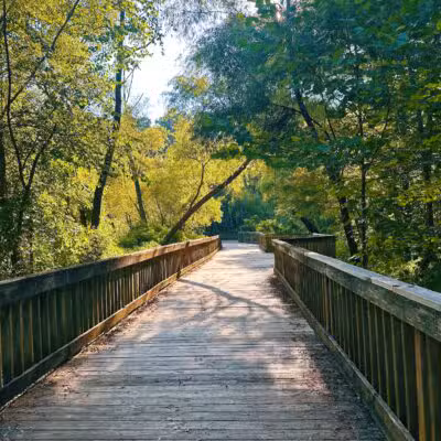 Lake Lynn Park - Raleigh, NC