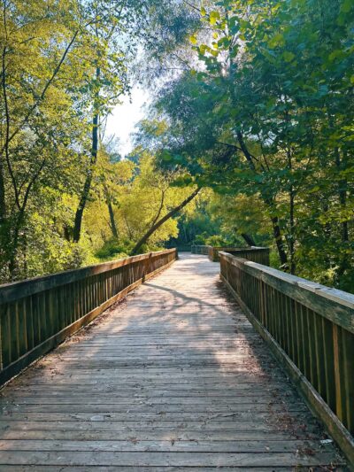 Lake Lynn Park - Raleigh, NC