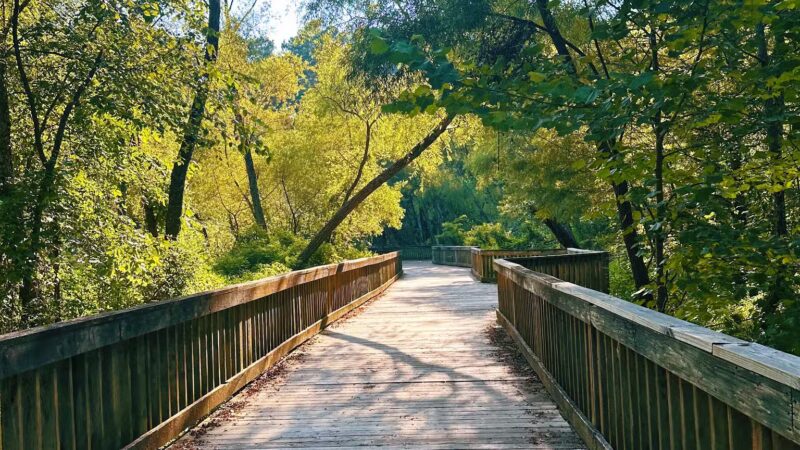 Lake Lynn Park - Raleigh, NC