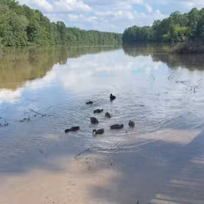 Lake Lynn Park - Raleigh, NC