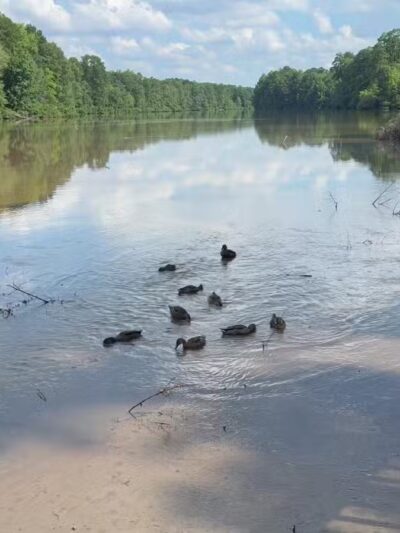 Lake Lynn Park - Raleigh, NC