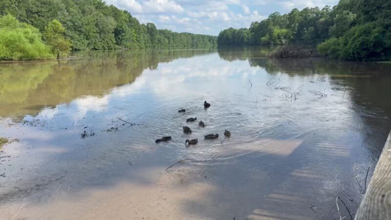 Lake Lynn Park - Raleigh, NC