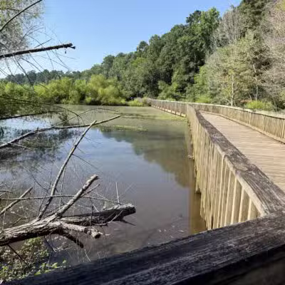 Lake Lynn Park - Raleigh, NC