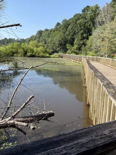 Lake Lynn Park - Raleigh, NC