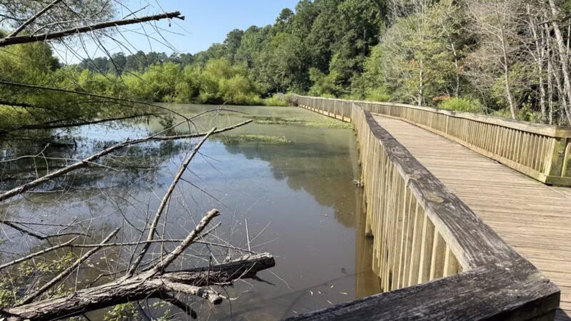 Lake Lynn Park - Raleigh, NC