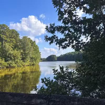 Lake Lynn Park - Raleigh, NC