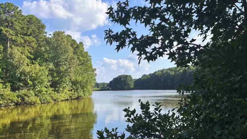 Lake Lynn Park - Raleigh, NC