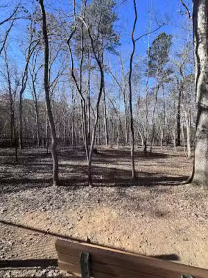 Baileywick Dog Park - Raleigh, NC