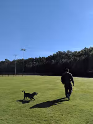 Baileywick Road Park - Raleigh, NC