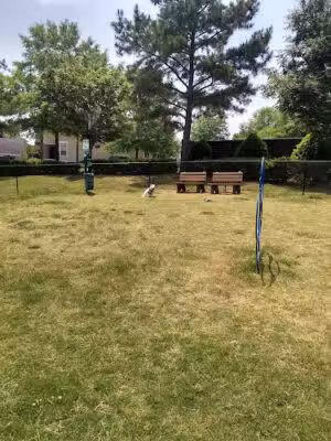 Dog Park at The Crossings (Private) - Raleigh, NC