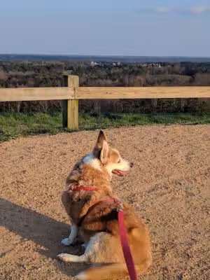 Green Hills County Park - Raleigh, NC