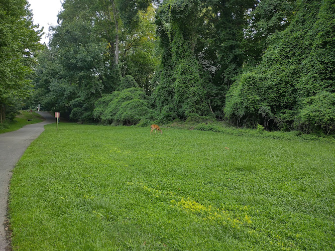 Greenway Trail North Hills - Raleigh, NC