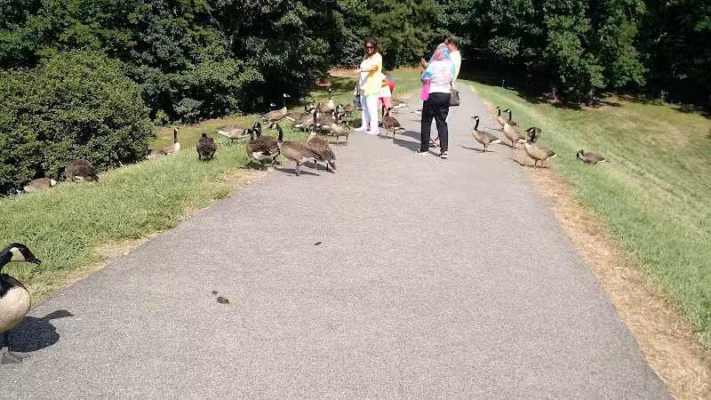 Lake Lynn Park - Raleigh, NC