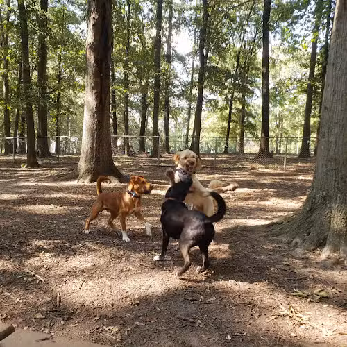 Oakwood Dog Park - Raleigh, NC