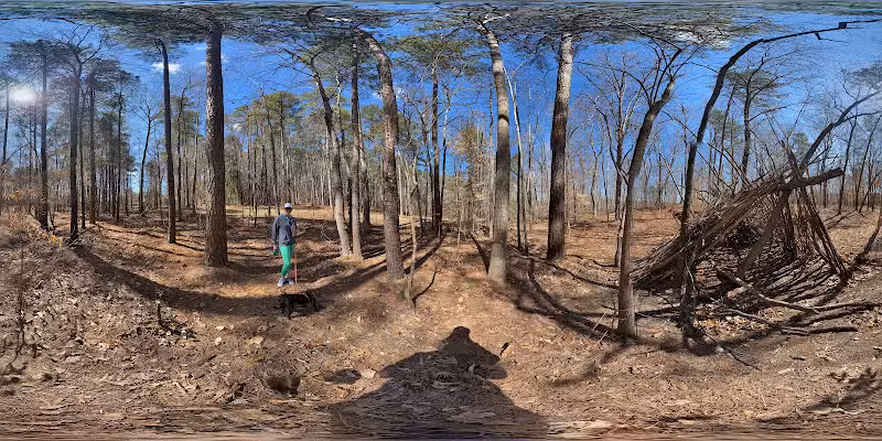 Sasquatch House - Raleigh, NC