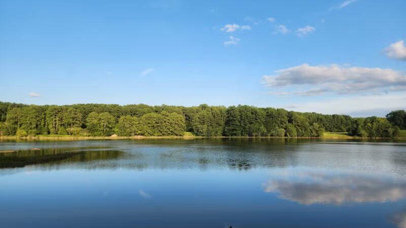 Shelley Lake Park - Raleigh, NC