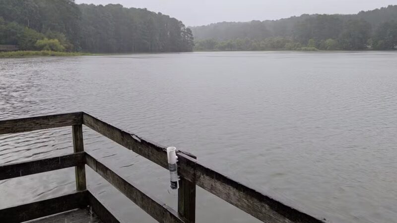Shelley Lake Park - Raleigh, NC