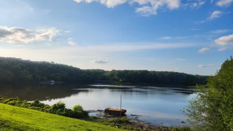 Shelley Lake Park - Raleigh, NC